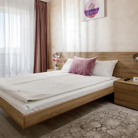 公寓 Brasov Holiday Apartments 布拉索夫