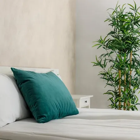 公寓 Brasov Holiday Apartments 布拉索夫