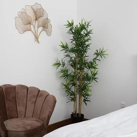 Brasov Holiday Apartments 公寓 布拉索夫