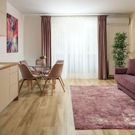 Brasov Holiday Apartments 公寓 *