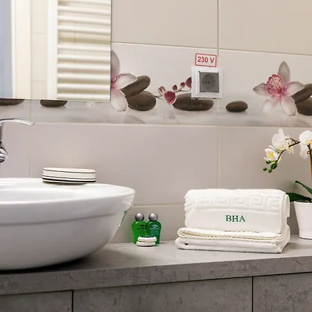 Brasov Holiday Apartments 公寓 *