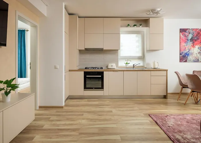 Brasov Holiday Apartments